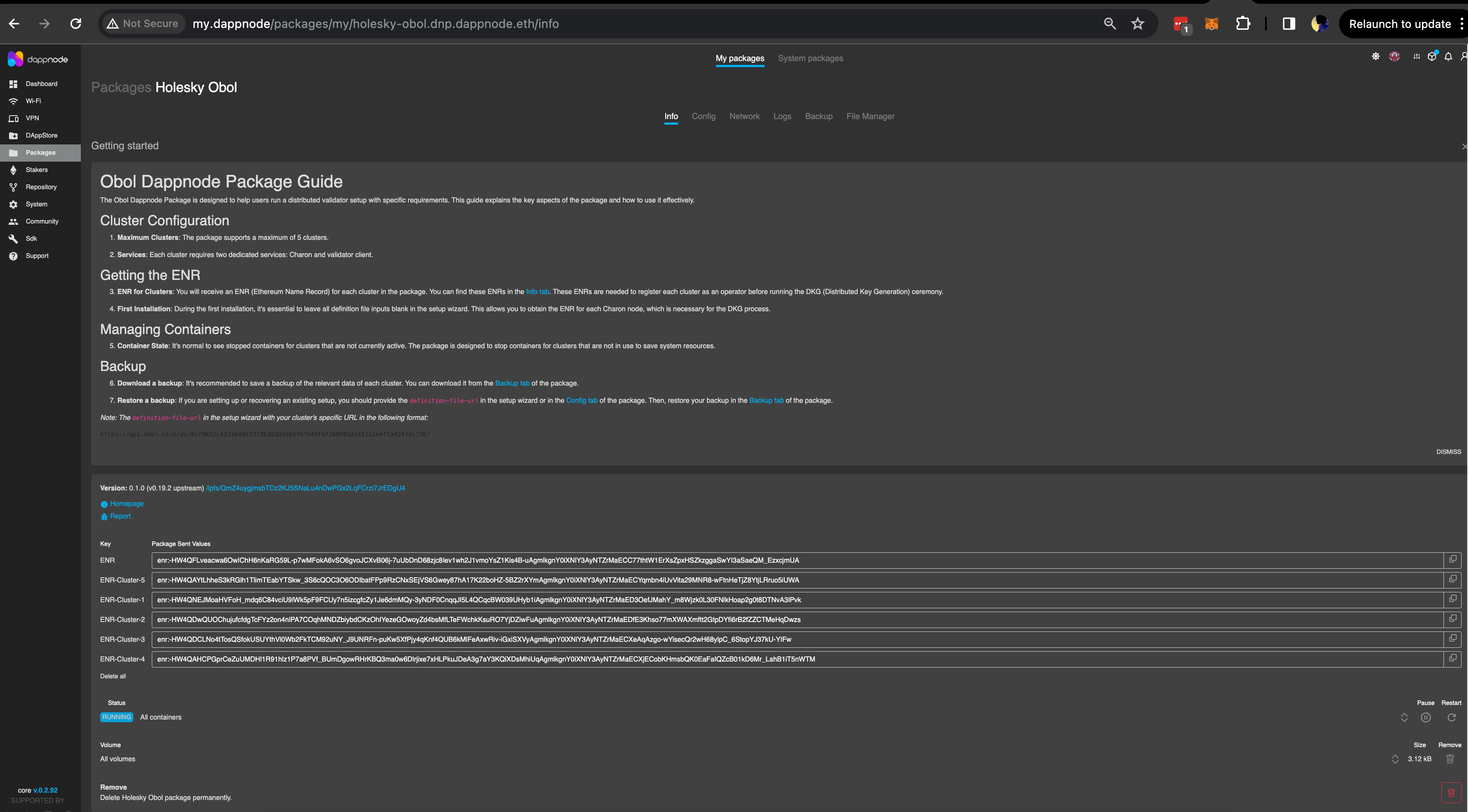 Screenshot: Under the 'Info' tab, you will see pre-generated ENRs, along with information such as the status of all five distributed validator clusters, their docker volumes & other menuβ¦